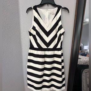 Loft Flare Dress
